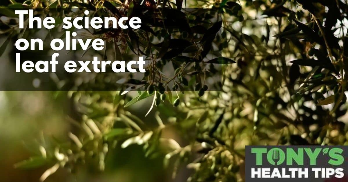 The science on olive leaf extract | Tony's Health Tips